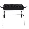 BARBACOA CARBON FIJA 71X37 CM. HABITEX