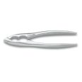 CASCANUECES INOX 17 CM. 3 CLAVELES