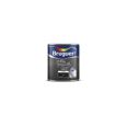 PINTURA ESPECIAL PIZARRAS NEGRO 750 ML. BRUGUER